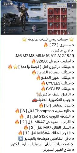 MJ13