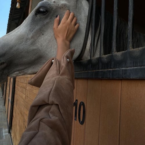 عباية شتوية شامواه بني -فروة