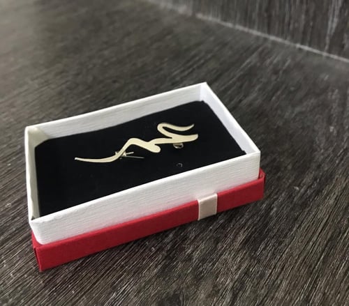 بروش مطلي فضه بالأسم