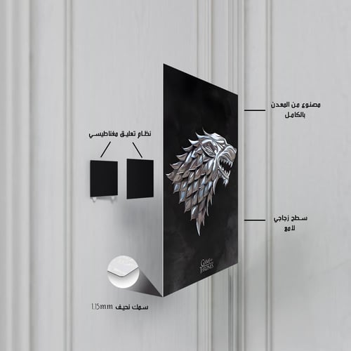 لوحة معدنية - بوستر لعبة إلدن رينج (الغلاف الرسمي)