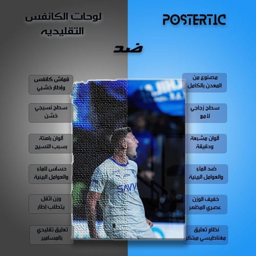 لوحة معدنية سيرجي ميلينكوفيتش-سافيتش - شغف الفوز -...