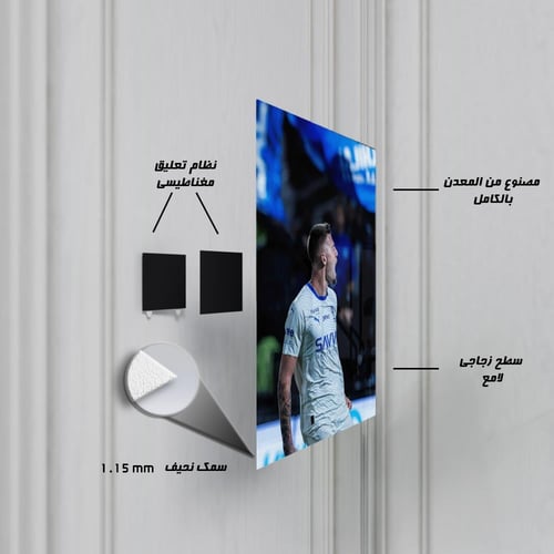 لوحة معدنية سيرجي ميلينكوفيتش-سافيتش - شغف الفوز -...