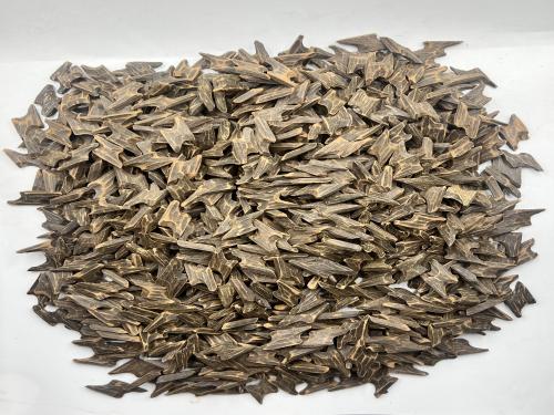 1ك تايجر ميني بلاك