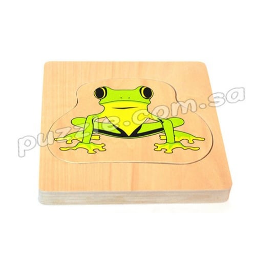 مراحل نمو الضفدع