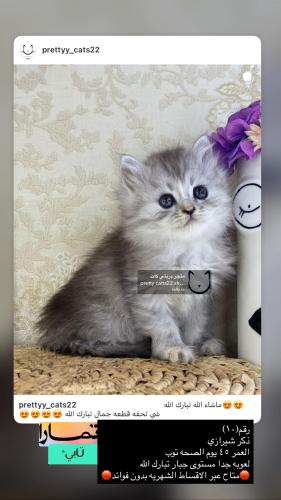 ذكر-شيرازي شامل الاغراض