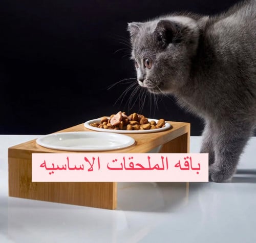 باقه للملحقات الاساسيه