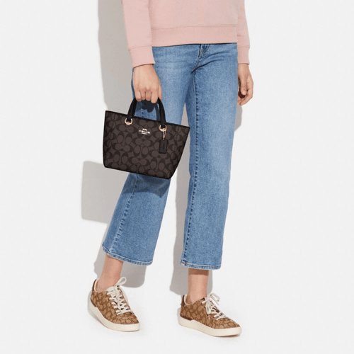 شنطة كوتش كروس بدي بني وفوشي ميني