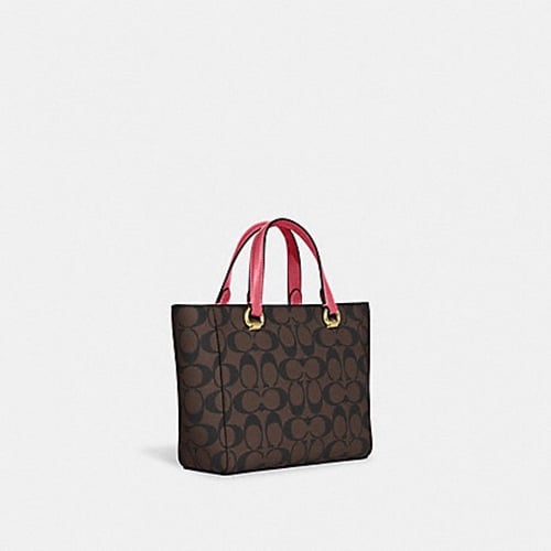 شنطة كوتش كروس بدي بني وفوشي ميني