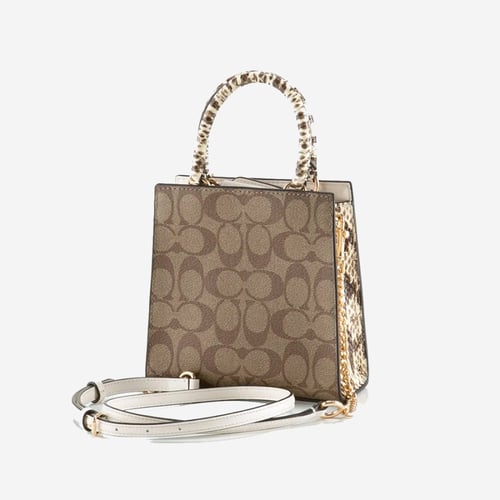 كوتش ميني بيبر