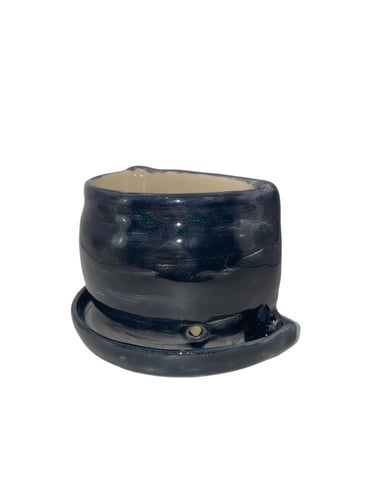 إصيص نبتة/ مسند كتاب