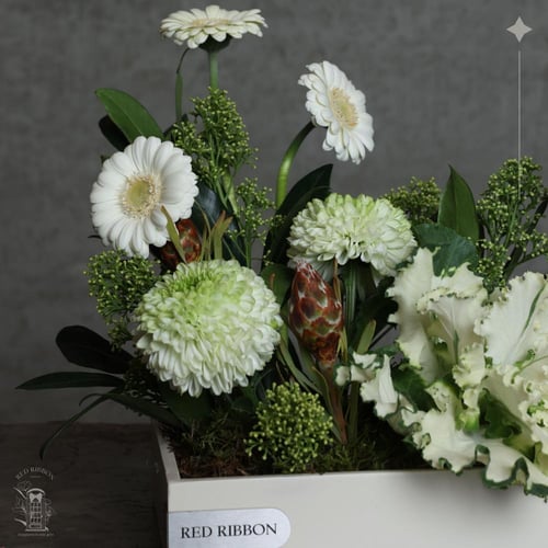 White Elegance | Anoosh Choclate