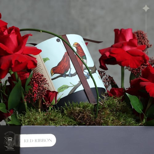 Red Rose | Anoosh Choclate