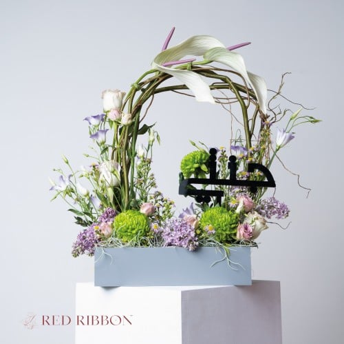 جنتي النقاء