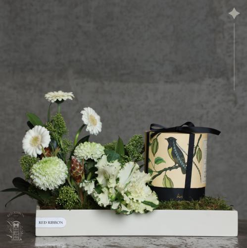 White Elegance | Anoosh Choclate