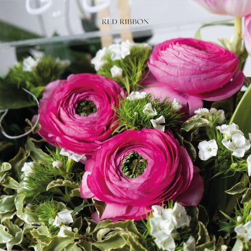 بهجة اللقاء