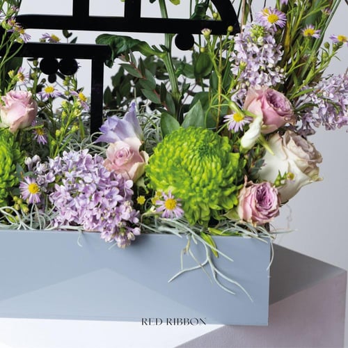 جنتي النقاء