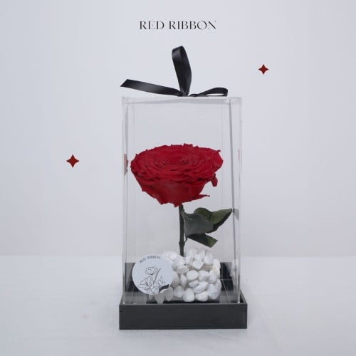 الحب الأبدي