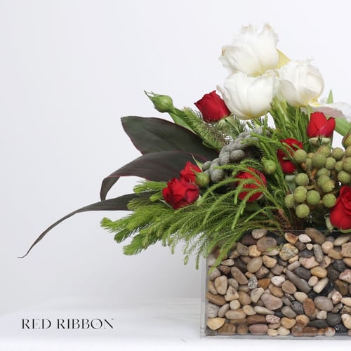 واحة الأحمر