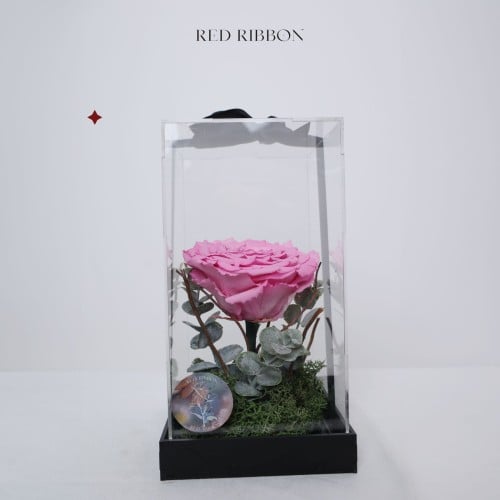 توهج الأبدية الوردي