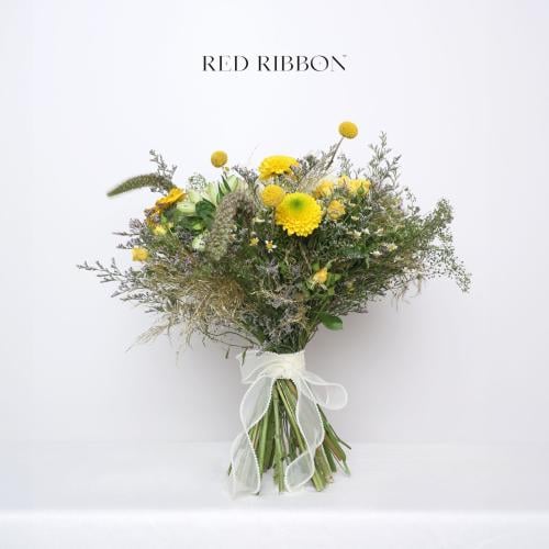 الإشراق الذهبي