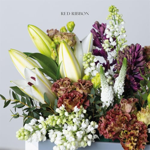 أمومة الربيع