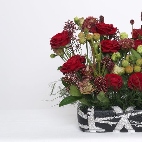 جمال الكرزي