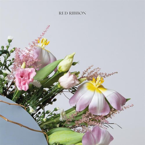 جنتي المحبة