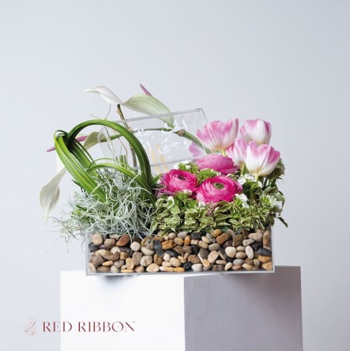 بهجة اللقاء