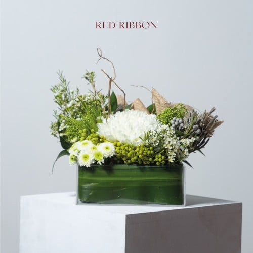 أنغام الزمرد