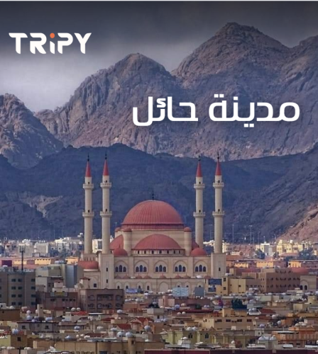 دليل مدينة حائل