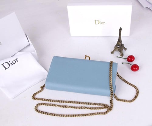 محفظة ديور سادل الطويلة مع سلسلة - Dior