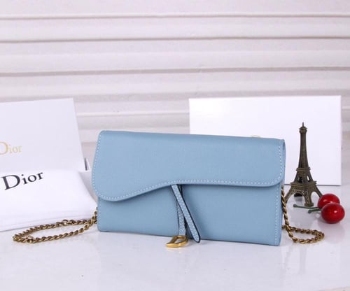 محفظة ديور سادل الطويلة مع سلسلة - Dior