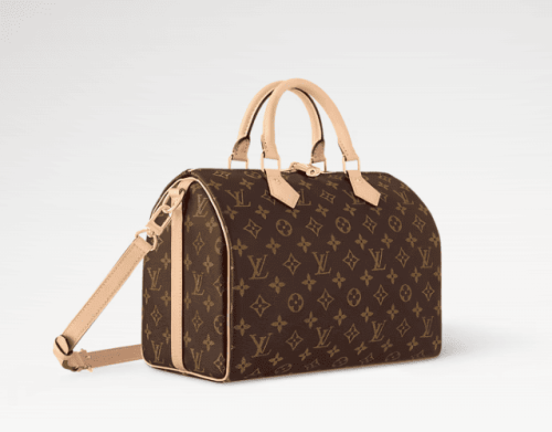 لويس فيتون سبيدي بندوليير 30
