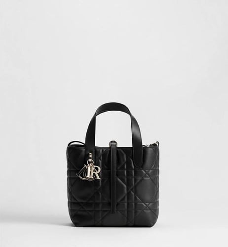 شنطة ديور أور الصغيرة توجور - Dior