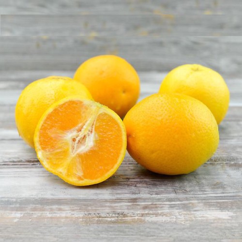 برتقال فالنسيا (للعصير)