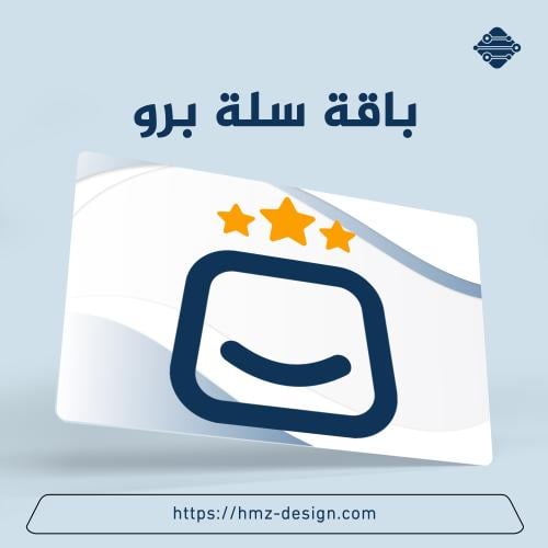 تصميم متجر الكتروني سلة برو + css