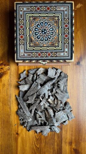 ترات قواقع - AA