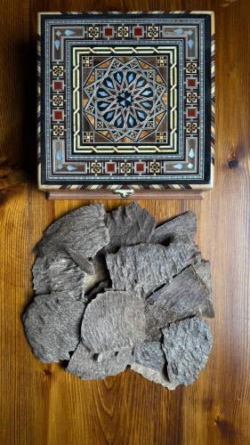 هندي جار سوبر 16 - H