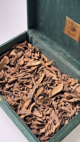 كلمنتان مالينو N - 2