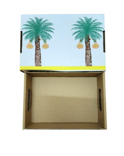 كرتون تمر 2 كيلو