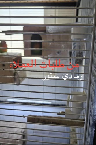 مشربية مياه أوتوماتيك ( لنظافة الماء وتوفيره )