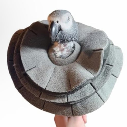طوق ناعم لحماية الببغاء من نتف الريش – تصميم طبقات...