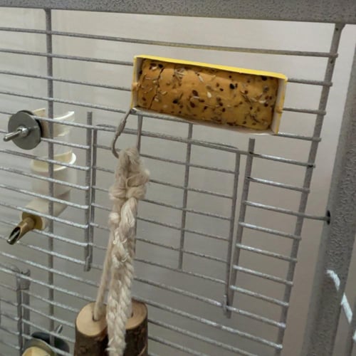 بسكوت بالبذور 6 قطع مناسب لجميع انواع الببغاوات فر...