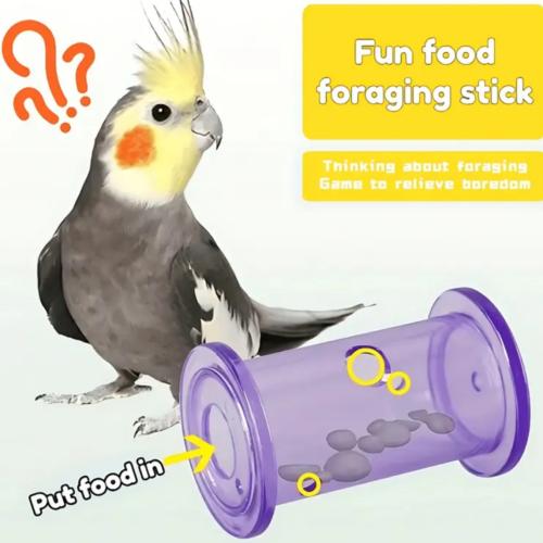 لعبة البحث عن الطعام للببغاوات المتوسطة والصغيره