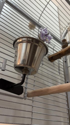 مئكلية طيور ثابتة وغير قابلة للانسكاب