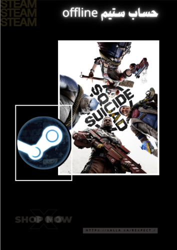 Suicide Squad Steam offline