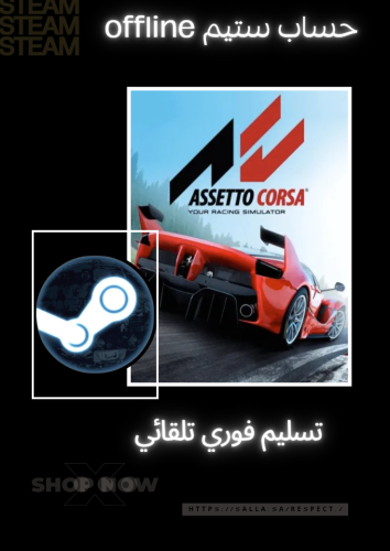 ASSETTO CORSA Steam offline