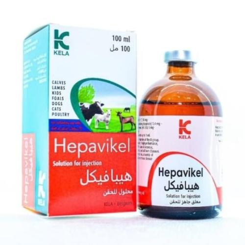 هيبافيكيل Hepavikel KELA للخيول والمهور ، حقن فيتا...