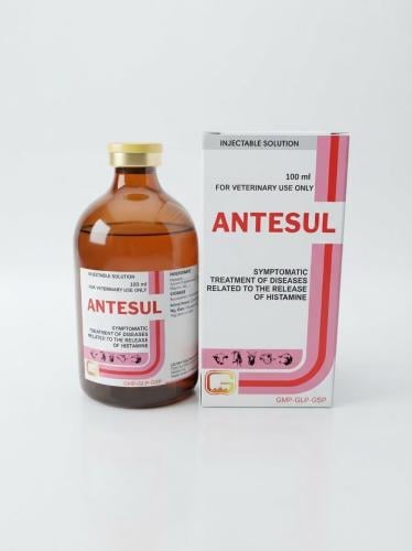 انتسول 100مل | Antesul 100 ml