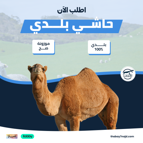 نصف حاشي (36-40 كجم)